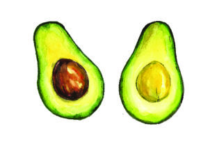Avocado - Watercolor Style Embroidery Review