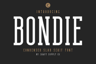 Bondie Slab Serif: A Craft Review