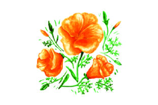 California Poppies Design in Watercolor Review