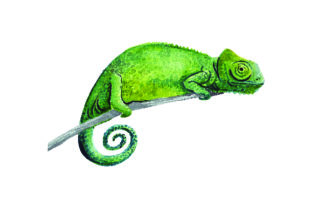 Chameleon - Watercolor Animals for Crafters