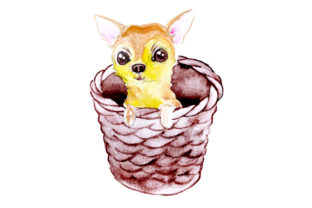 Chihuahua Puppy in a Basket: Watercolor Dogs