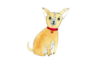 Chihuahua - Watercolor: A Designer's Review