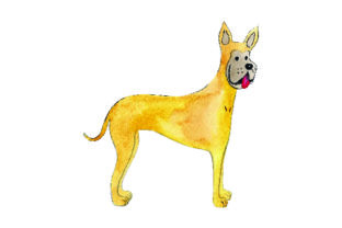 Great Dane - Watercolor: A Dogs Design Review