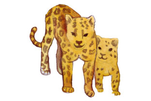 Leopard Watercolor Art for Animal Branding