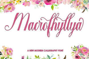 Macrofhyllya Script: A Script Amp Review