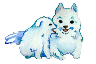 Mom and Baby Dog Watercolor: Elevating Animal Branding