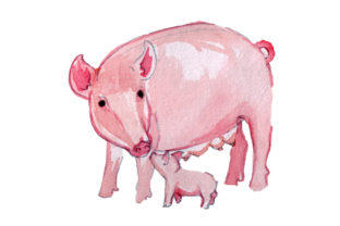 Mom and Baby Pigs in Watercolor Style for Animals