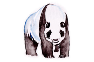 Panda in Watercolor: A Branding Review for Animals