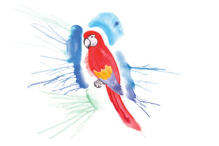Parrot in Paint Splatter Watercolor Style Review