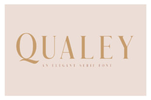 Qualey Serif: A Review for Digital Sellers