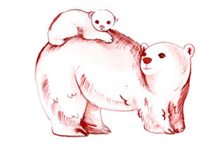 Review: Mom and Baby Polar Bears Watercolor Design