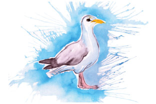 Seagull in Paint Splatter Watercolor Style Animals