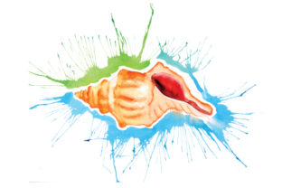 Seashell in Paint Splatter Watercolor Style Review