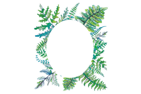 Watercolor Frame of Ferns: An Australia Design Review