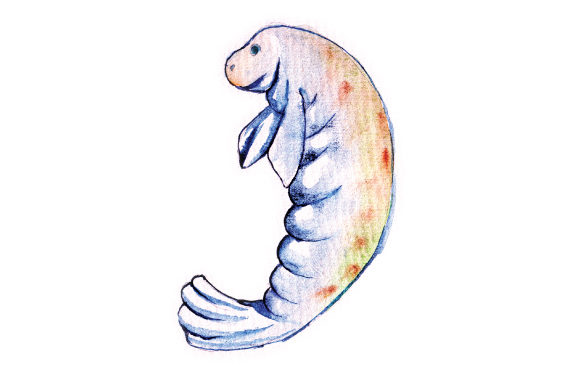 Watercolor Manatee: A Brand Designer's Review