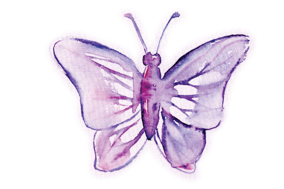 Watercolor Mauve Butterfly: A Brand Review