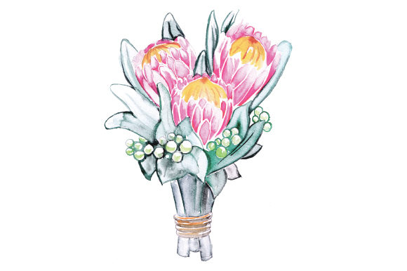 Watercolor Proteas in Bouquet: Australia Branding