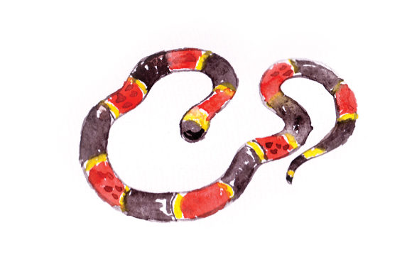 Watercolor Sanke: Elevating Animals in Brand Design
