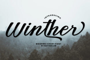 Winther Script: A Script Amp Review for Brands